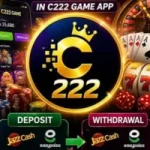 C222 Game