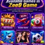 ZEE9 Game