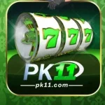 PK11 Game